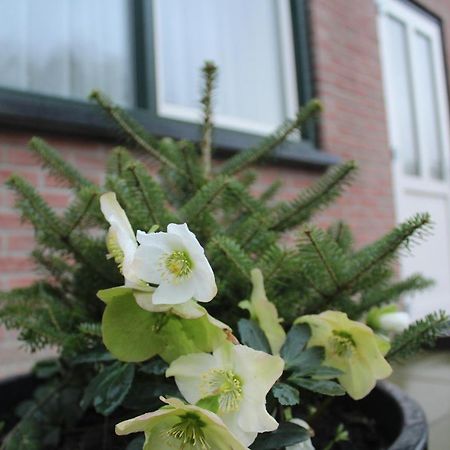 WoubruggeLandzicht公寓 外观 照片